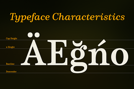 Schorel, a Serif Font by insigne
