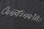Candinara - Elegant Calligraphy, a Script Font by Ginart (Thumbnail 8 of 11)