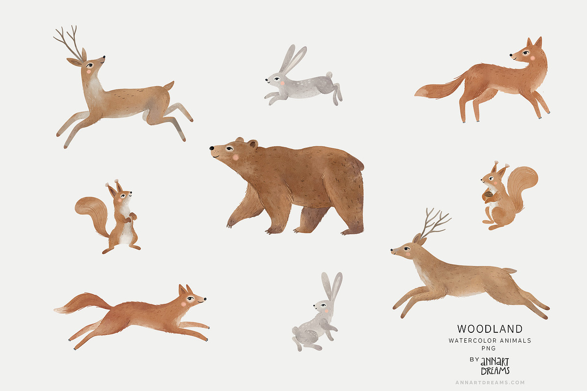 WOODLAND. Wall mural & Patterns, a Wallpaper Graphic by annartdreams (Photo 9 of 11)