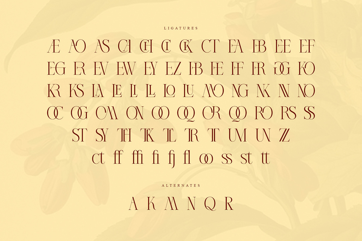 Modelista Light | Ligature Serif, a Serif Font by Krismagraph (Photo 10 of 10)