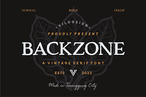 Backzone A Vintage Rustic Serif Font