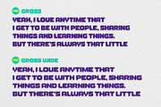YNF Gross | Display font 2 styles, a Sans Serif Font by YNF (Thumbnail 4 of 34)