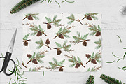 Winter Watercolor Greenery, an Illustration by DailyMiracleDigitals,LLC (Thumbnail 7 of 8)