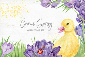 Crocus Clipart Collection