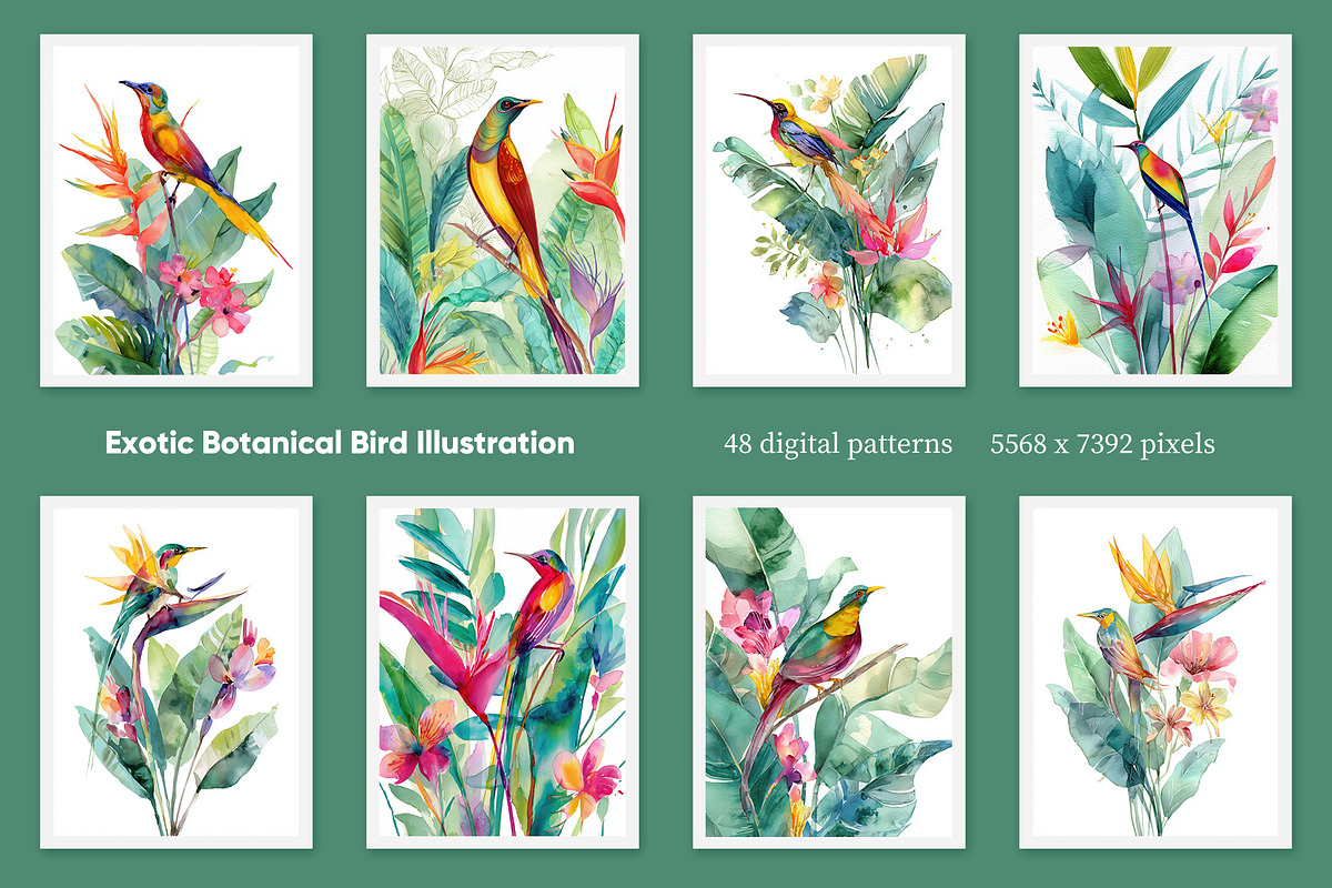Exotic Botanical Bird Illustration, a Decorative Illustration by Housui Patterns (Photo 3 of 12)