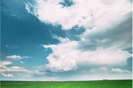 Countryside Rural Field Meadow, a Nature Photo by Our Amazing World
