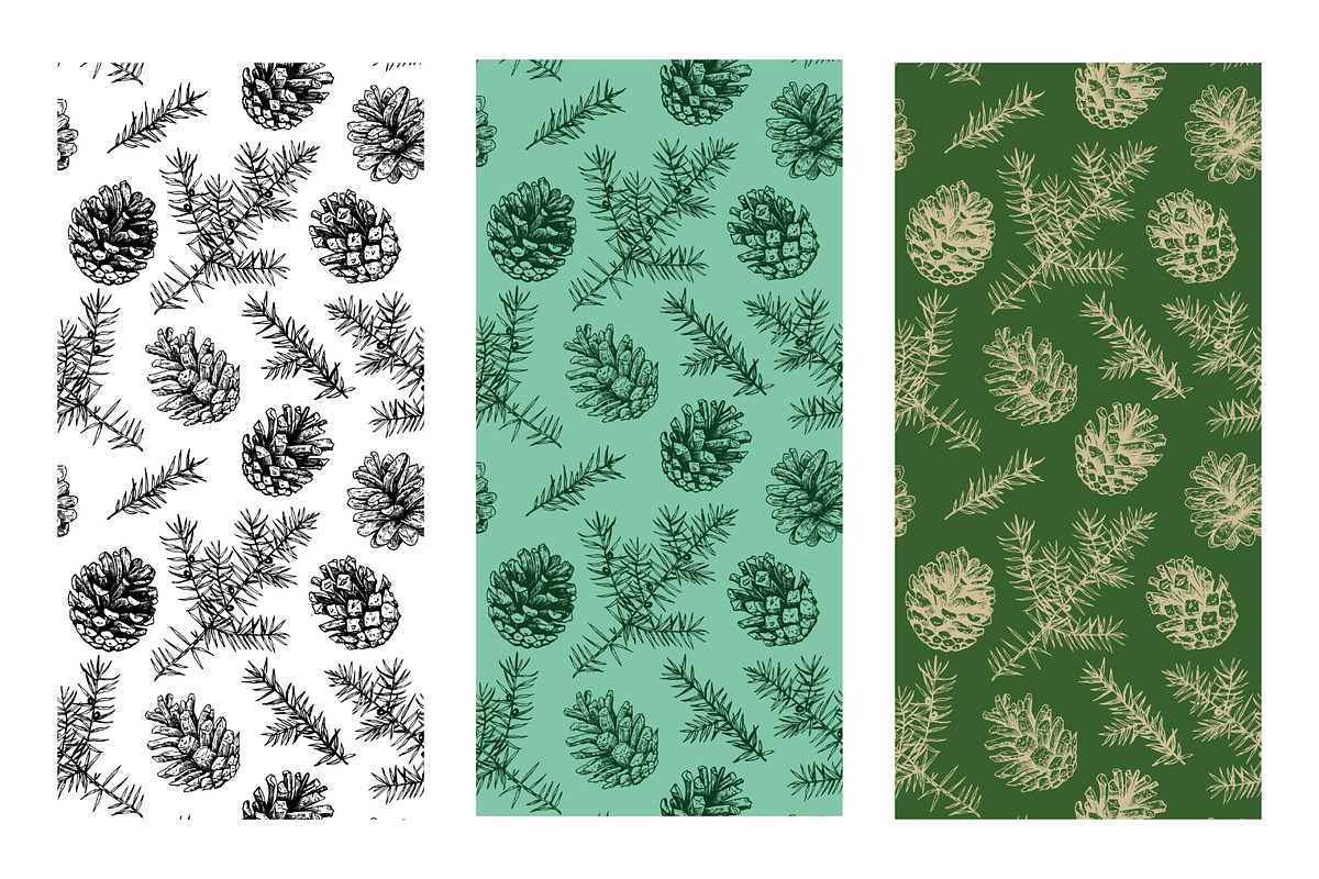 Winter botanical patterns, a Seasonal Illustration by Robusta (Photo 5 of 8)