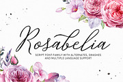 Rosabelia - Script & Sans Serif, a Script Font by Solidtype (Thumbnail 1 of 11)