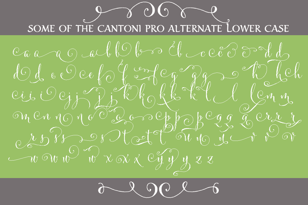 Cantoni Pro Hand Lettered Font, a Script Font by Debi Sementelli (Photo 3 of 4)