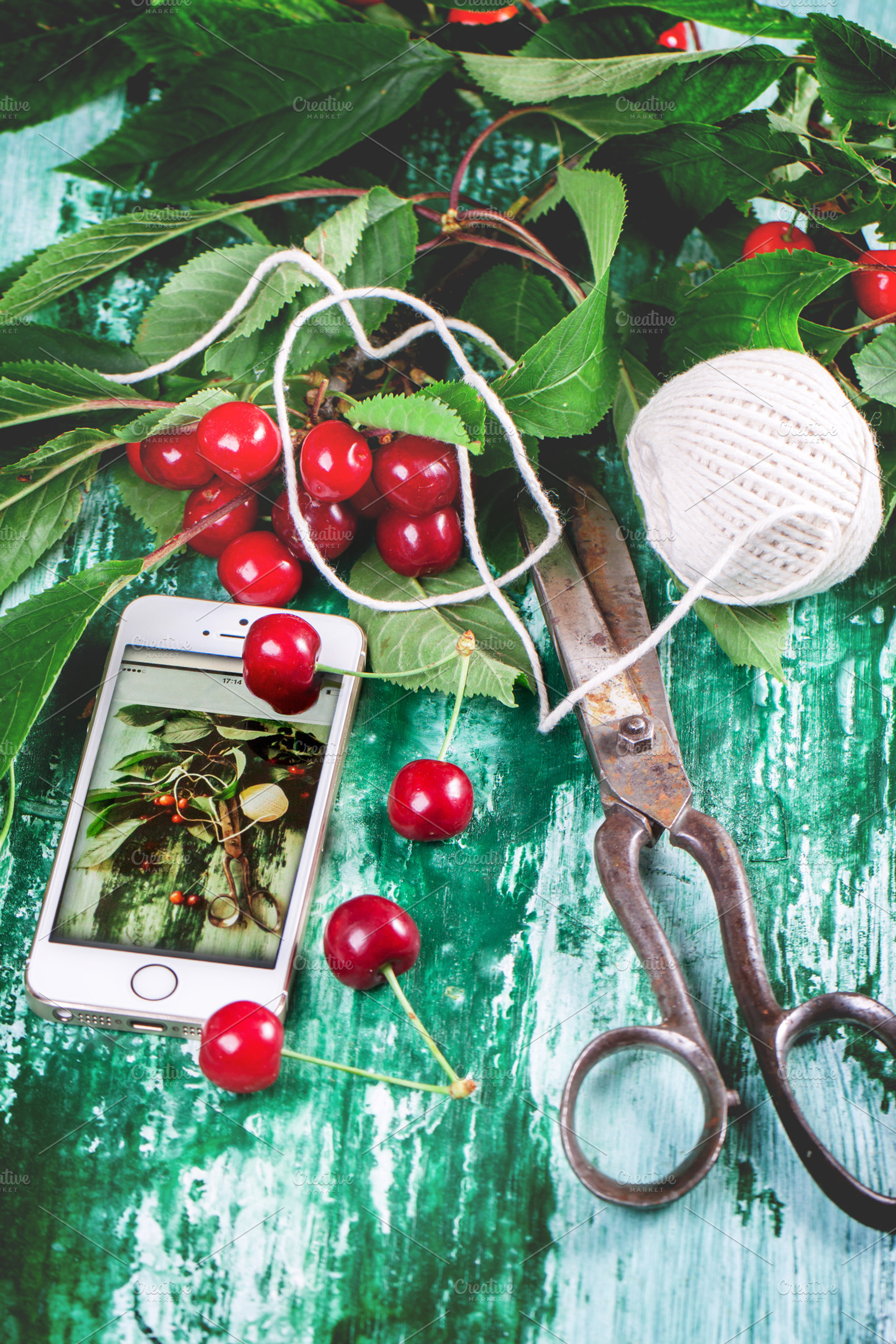 Bunch Of Cherry Tree With Scissors And Thread