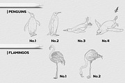 Bird Procreate Brush, a Brush Add-On by Freya.art Illustrations (Thumbnail 6 of 9)