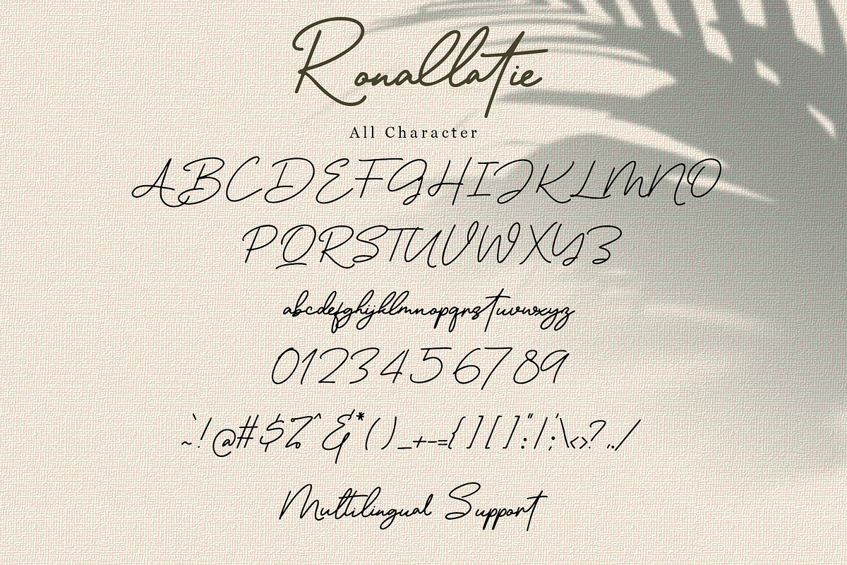 Ronallatie - Elegant Signature Font, a Script Font by Dm Studio (Photo 8 of 9)