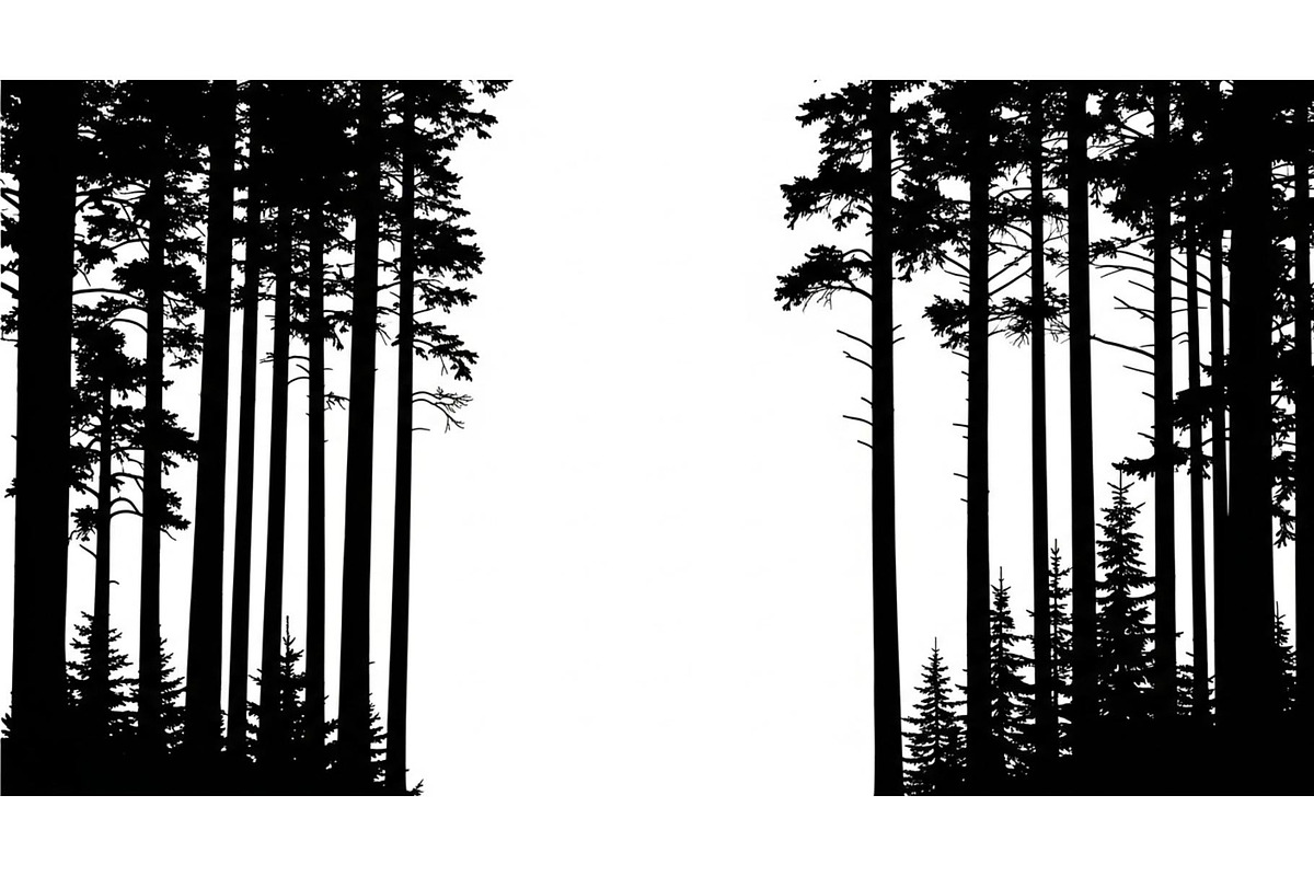 Forest Frame Silhouette SVG Bundle, an Illustration by jahid234 (Photo 28 of 51)
