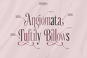 SS Lavonadeca - Flourish Serif Font, a Serif Font by Typocracy Studio (Thumbnail 5 of 15)