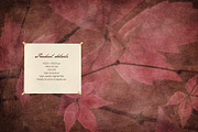 Faded Nature - Textured Backgrounds, a Background Graphic by Lidberia (Thumbnail 9 of 11)