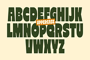 Reiger - Bold Condensed Font, a Sans Serif Font by limitype (Thumbnail 6 of 11)