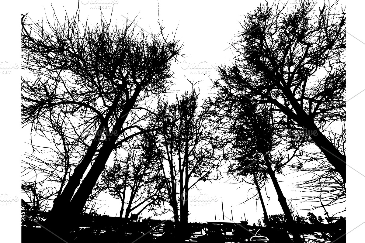 Monochrome silhouette of tree, a Texture Illustration by Nenahliadava Design