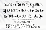 Wedding Day, a Handwritten Font by InermediaSTUDIO (Thumbnail 2 of 8)