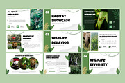 Wildlife Powerpoint Template, a Presentation Template by Eklip Studio (Thumbnail 3 of 5)