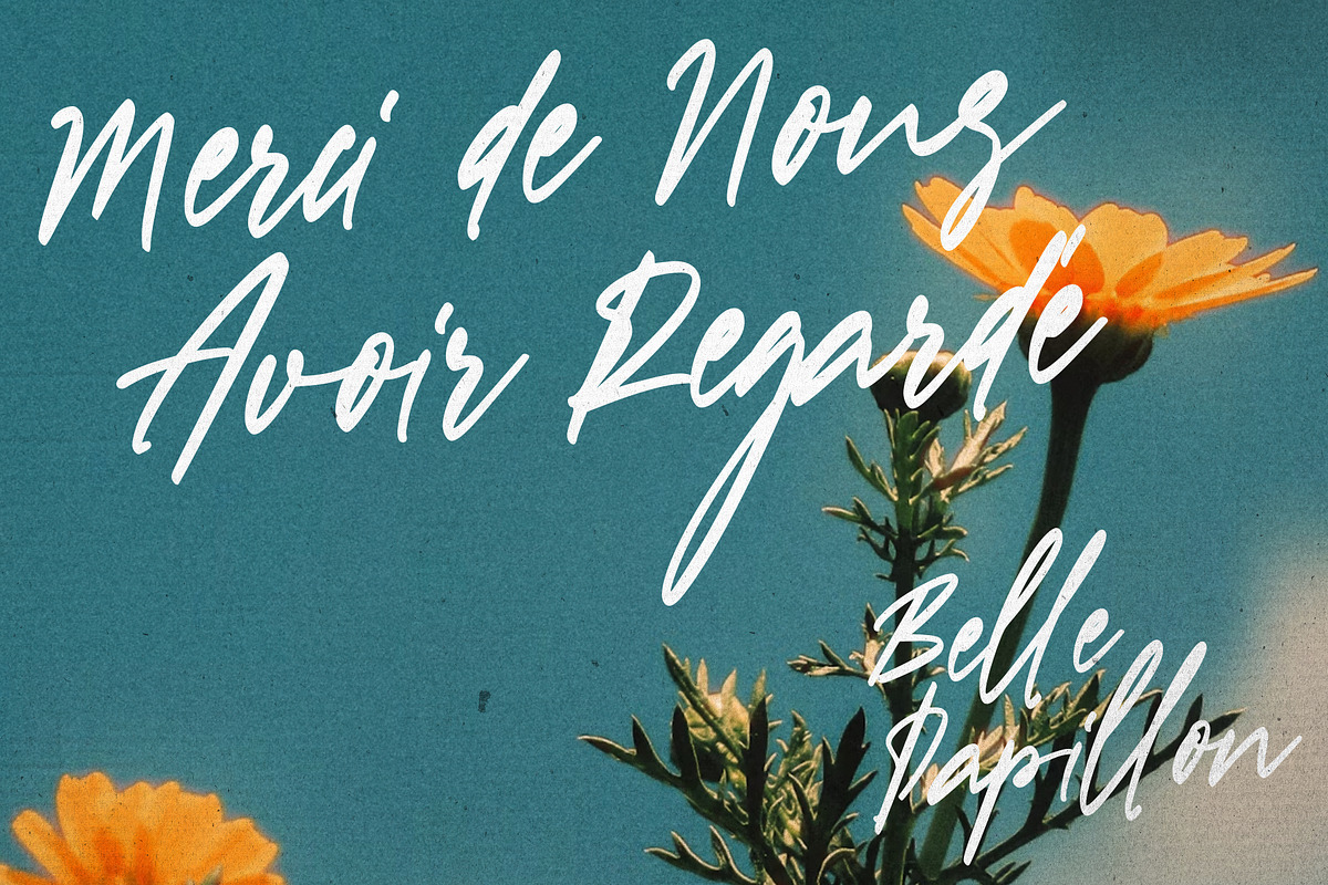 Belle Papillon - Handwritten Font, a Handwritten Font by VASTARD STUDIO (Photo 12 of 12)