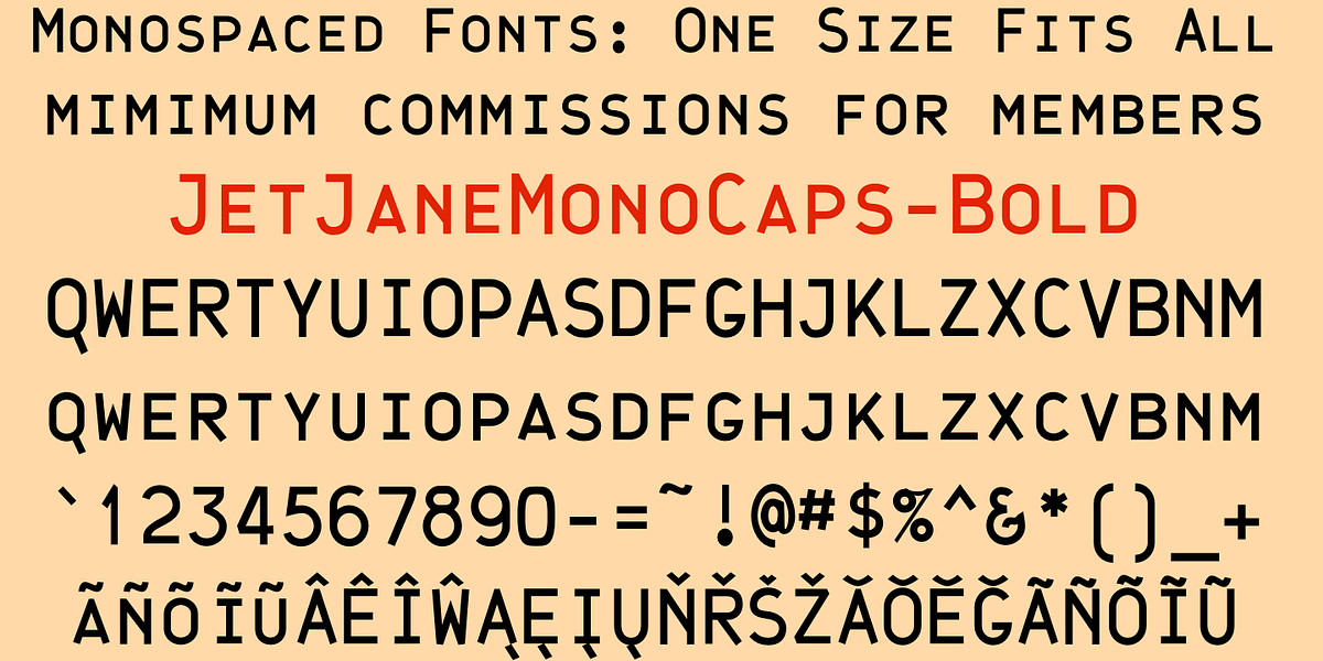 JetJaneMono, a Sans Serif Font by Ingrimayne Type (Photo 10 of 11)
