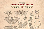 Insects and Flowers, an Animal Illustration by Ink Stories (Thumbnail 4 of 15)