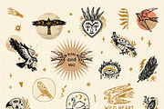 Halcon Libre Bundle, an Animal Illustration by Annie Konst (Thumbnail 2 of 21)