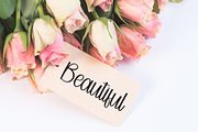 Staycation | Script Font, a Handwritten Font by Scratchones (Thumbnail 3 of 8)