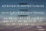 Holiday Romance Beautiful Script, a Script Font by Putra Khan (Thumbnail 9 of 9)
