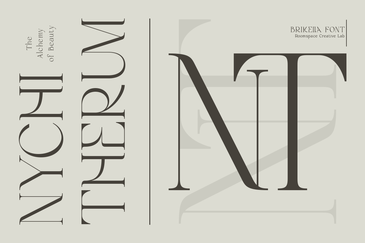 Brikelia Minimalist Fashionable Font, a Serif Font by roomspace creative lab (Photo 6 of 12)
