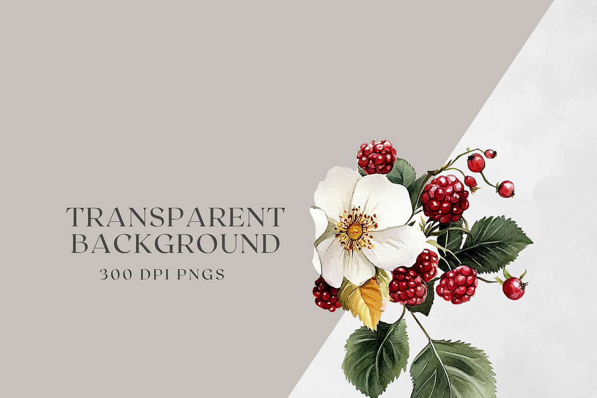 White Flowers with Berries, a Decorative Illustration by ThaismotaCreativeCo (Photo 9 of 9)