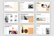 Business Company Profile Template, a Brochure Template by PixelWink (Thumbnail 2 of 3)