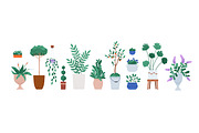 House plants, flowers in pots set, an Object Illustration by Good Studio (Thumbnail 2 of 5)