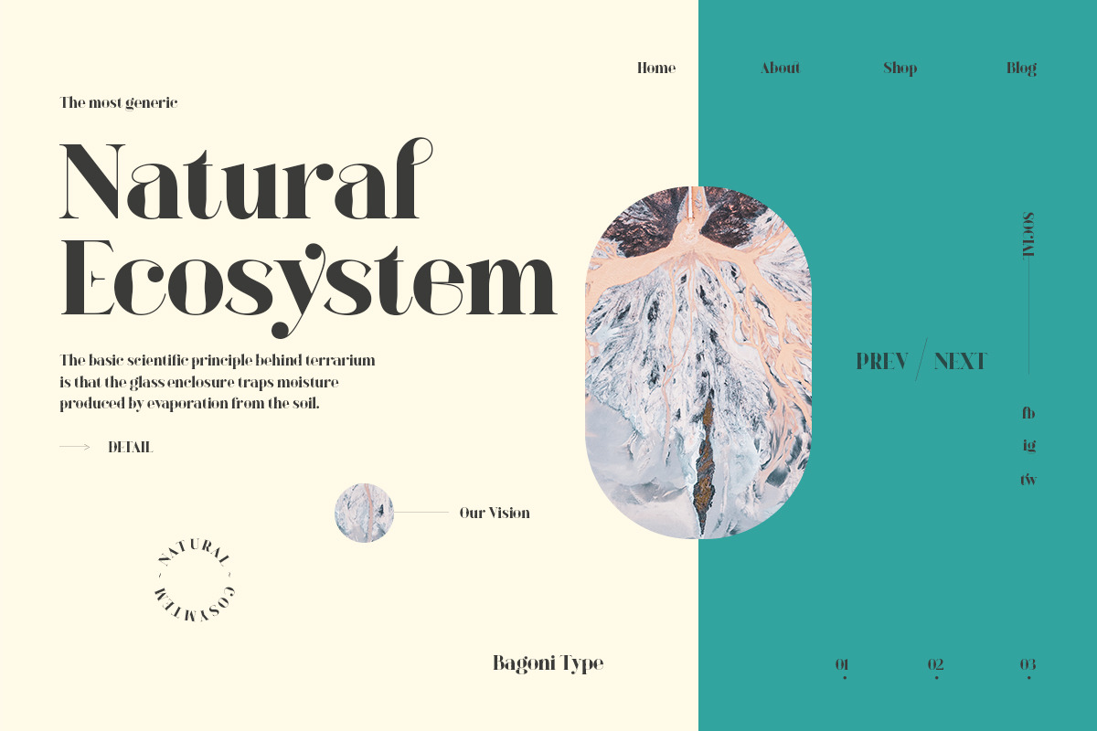 Bagoni Type, a Serif Font by Attract Studio (Photo 13 of 19)