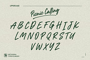 Picnic Calling, a Script Font by Metasena Typefoundry (Thumbnail 8 of 10)