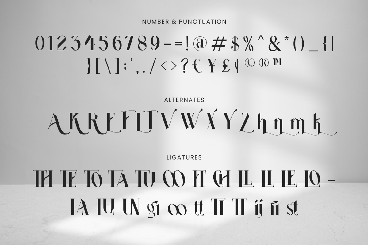 Churlees Modern Serif, a Serif Font by Creatype Studio (Photo 5 of 9)