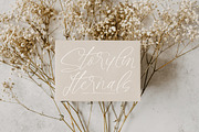 Styelad Initials, a Handwritten Font by operatype.co (Thumbnail 11 of 15)