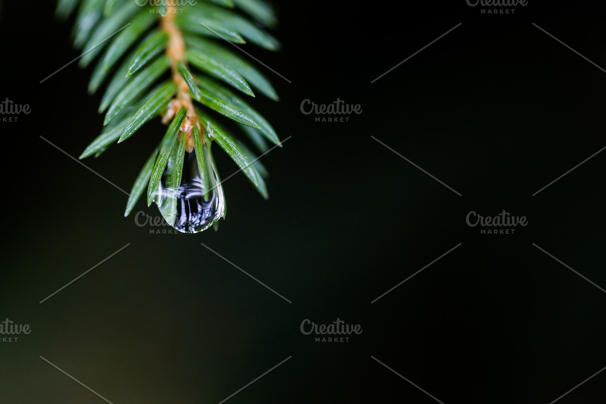 Feeling Depressed, an Object Graphic by Feelings (Photo 3 of 5)