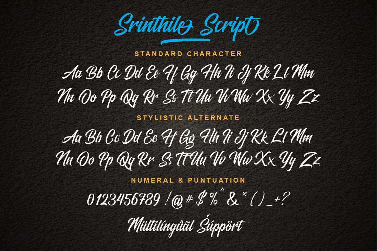 Srinthile Script, a Script Font by Almeera Std (Photo 3 of 11)