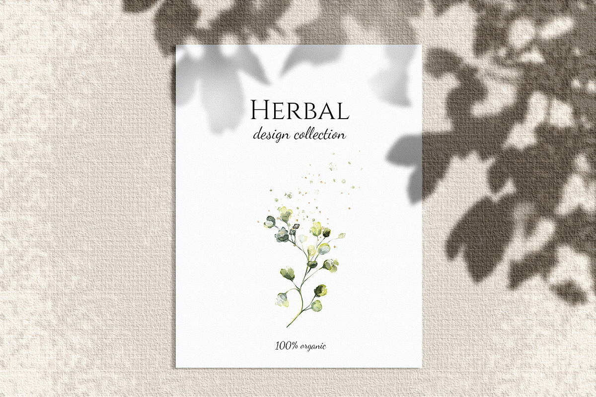 Herbal Watercolor collection, a Work Illustration by Lisima (Photo 9 of 14)