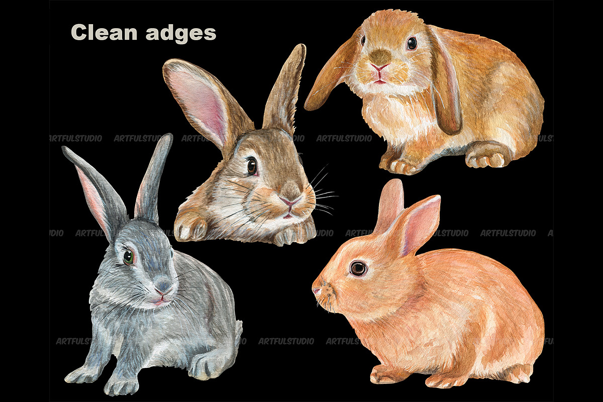 Watercolor Realistic Rabbits clipart, an Animal Illustration by ArtfulStudio (Photo 7 of 8)