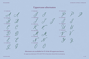 Cocktail Hour, a Handwritten Font by PeachCreme (Thumbnail 14 of 18)