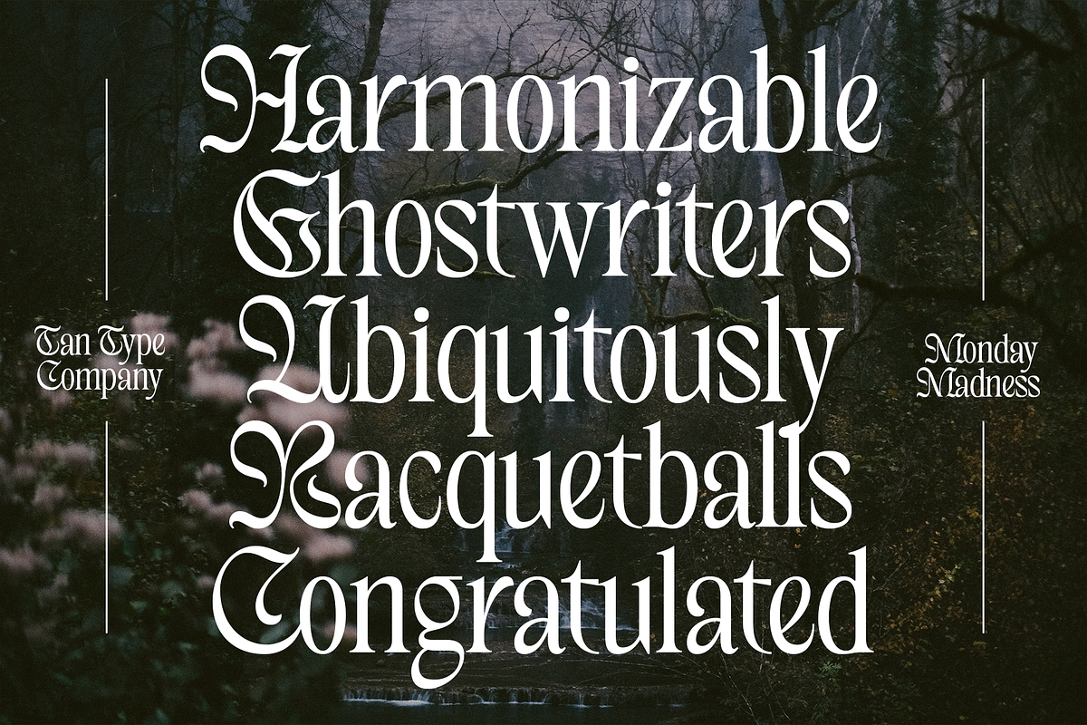 TAN - MONDAY MADNESS, a Blackletter Font by TanType (Photo 5 of 13)