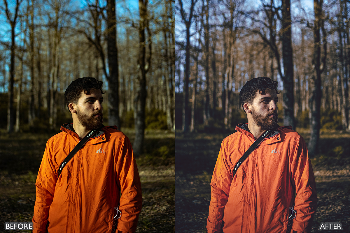 Dark and Moody Lightroom presets, a Preset Add-On by AAA Presets (Photo 9 of 10)
