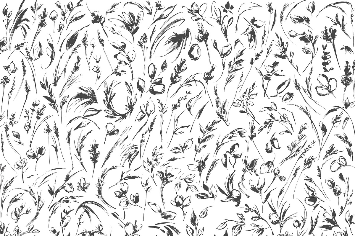 Botanical Sketch Flowers & Greenery, an Illustration by Tinydew (Photo 9 of 9)