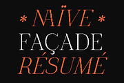 The Pixel Editorial – Modern Serif, a Sans Serif Font by Lettertype Studio (Thumbnail 15 of 15)