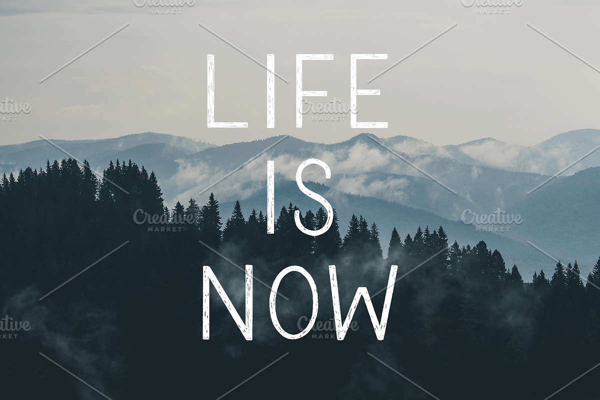 21 Purpose Driven Life Quotes That Will Transform Your Journey – The  Meaning Movement, image size:1200x800