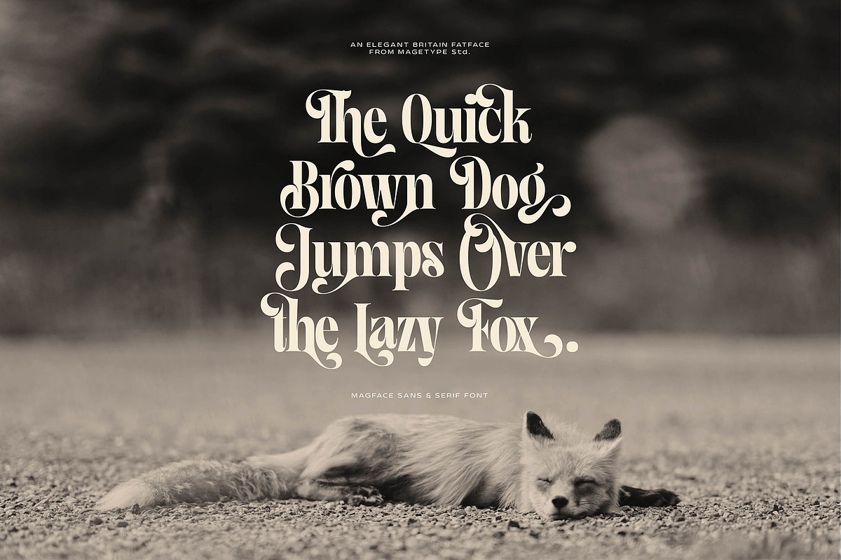 Great Font Bundle, a Font by MageType (Photo 20 of 22)