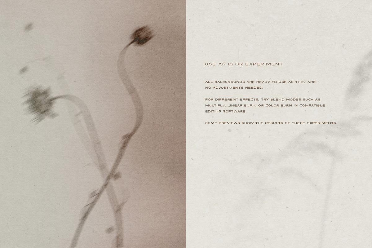 Diaphane - Blurry Floral Backgrounds, a Background Graphic by alonahaidash (Photo 5 of 16)