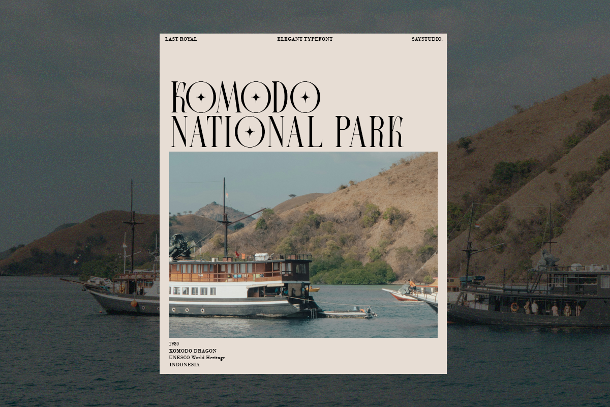 Last Royal - Elegant Serif & Script, a Serif Font by Say Studio (Photo 9 of 13)
